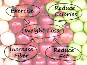 weight-loss-diagram weight-loss-digram