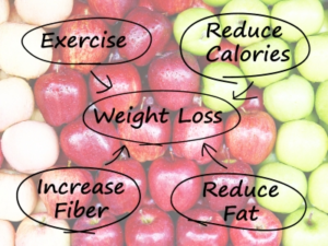 weight-loss-digram