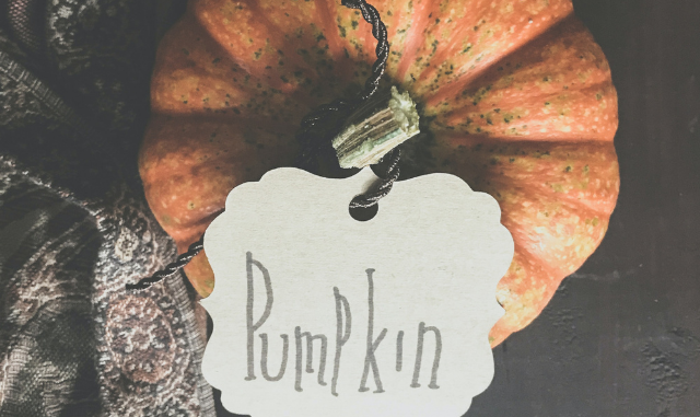 pumpkin